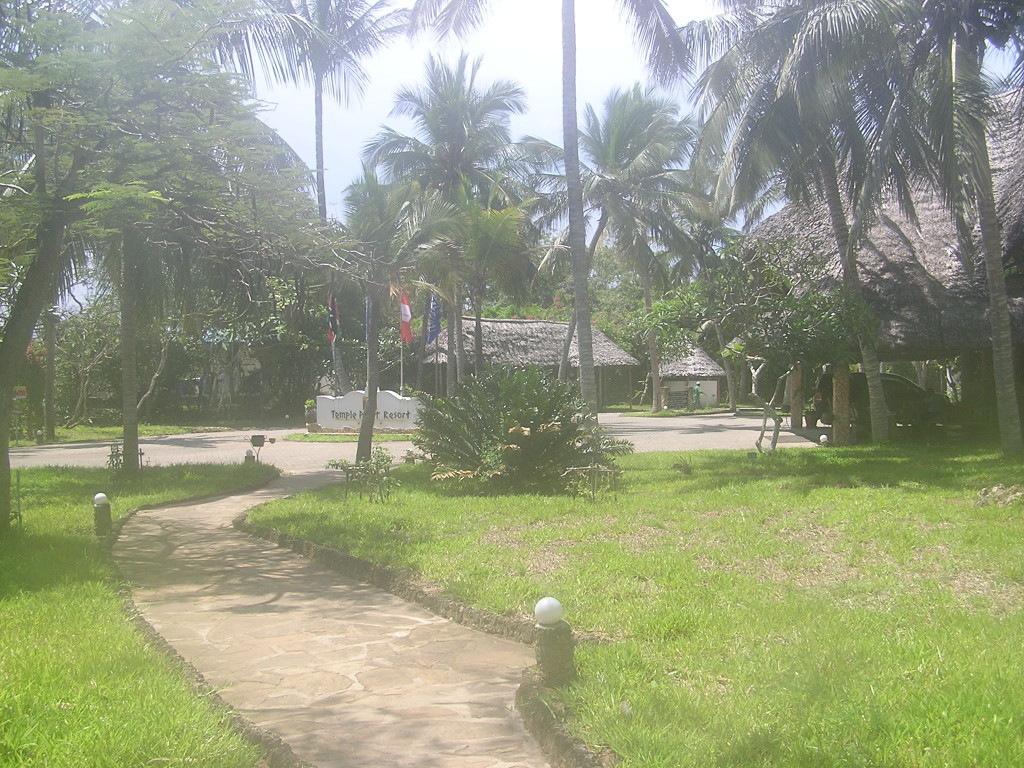 giardino tropicale